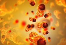 Imunoterapia aumenta chances de cura de câncer e sobrevida